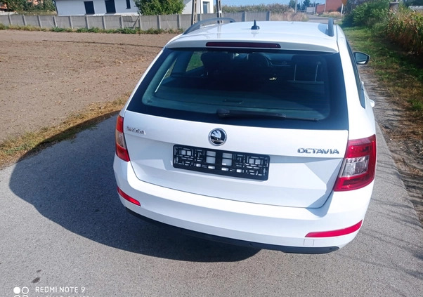 Skoda Octavia cena 36000 przebieg: 140000, rok produkcji 2017 z Kałuszyn małe 46